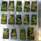 Army Rank Slide Hampshire & Isle of Wight IOW ACF Woodland DPM Camo