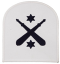 Royal Navy Physical Trainer Leading Rate Blue & White Qualification Patch