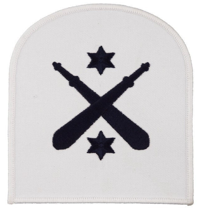 Royal Navy Physical Trainer Leading Rate Blue & White Qualification Patch