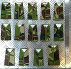 Army Rank Slide Hampshire & Isle of Wight IOW ACF Woodland DPM Camo