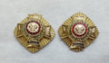 PWRR Rank Insignia British Army Eversleigh Star 7/8" "Ich Dien" FAULTY