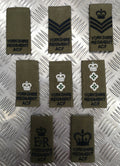 Genuine British Army Issue Green OD Yorkshire ACF Rank Slide Various Ranks - NEW