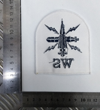 Royal Navy Warfare Specialist (WS) Basic Rate Blue on White Qualification Patch