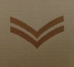 Rank Badges Army Green / Desert OD / DS Subdued Assorted Ranks 1 Pair New