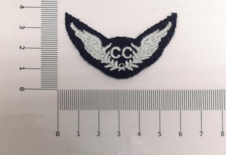 RAF Royal Air Force Airforce Parachute Air Force Para Aircraft Air Corps Patches Various Types