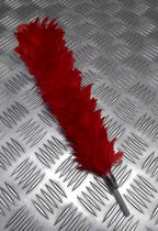 Army Issue Hackle Regiment & Guards Large Feather Dress Plume British Army