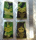 Woodland DPM Camo St. John's School CCF Rank Slides Genuine British Army NEW