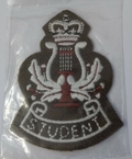 No2 Student Musician British Army Issue Insignia 2009 Harp Pattern