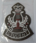 No2 Student Musician British Army Issue Insignia 2009 Harp Pattern