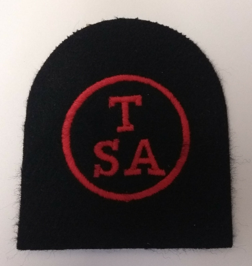 RN Training Support Assistant Vintage Embroidered Patch / Badge New Old Stock