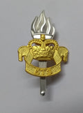AGC Hat Badge ETS Educational and Training Services British Army Dress Insignia