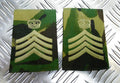Genuine British Army Woodland Camo DRUM MAJOR Rank Slides / Epaulettes - NEW