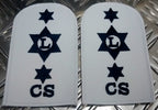 Genuine Pair of Royal Navy RN Logistics Catering Service LR Patches/Badges-NEW