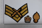 No1 Dress Badges R.E Engineers SSGT / Skill at Arms /Collar Dogs / Medal Ribbon