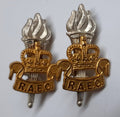RAEC Collar Badges Vintage Old Pattern Q/C for No1 No2 Dress