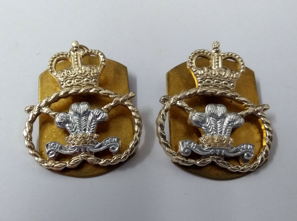 Staffordshire Regiment Collar Dogs 1 Pair