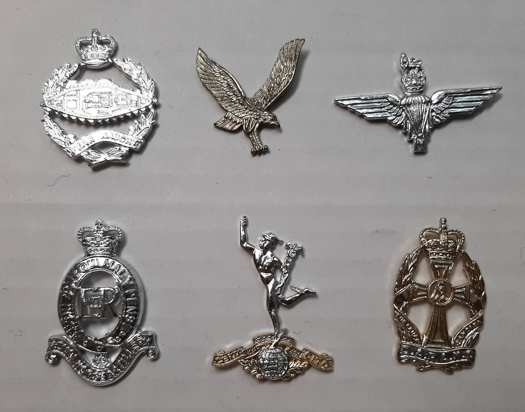 British Insignia RHA Paras RTR Assorted Regiments Small Badges No Fittings X6