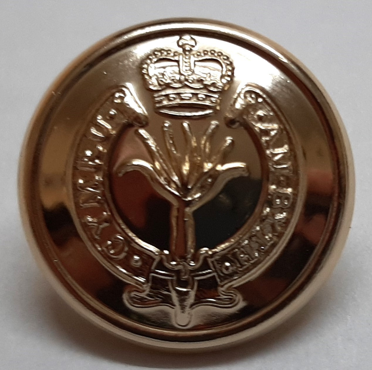 British Army Welsh Button Set No2 Dress FAD Jacket Welsh Leak
