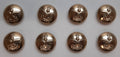 The Queens Gurkhas Engineers No2 Ring Back Button Set British Army Insignia O/R