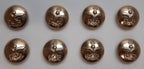 The Queens Gurkhas Engineers No2 Ring Back Button Set British Army Insignia O/R