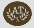 No2 FAD Patch A.T Skill Arm Badge for Number 2 Dress Jacket