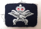 Physical Training Instructor PTI Qualification Badge Royal Air Force RAF