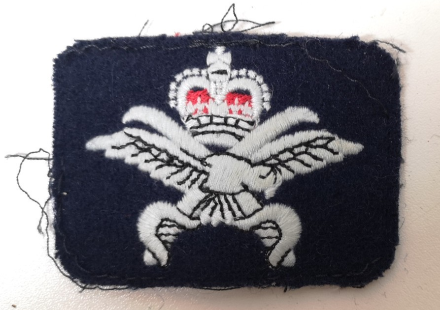Physical Training Instructor PTI Qualification Badge Royal Air Force RAF