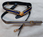 RAF Royal Air Force Ceremonial Belt Set OFC Air Force PER ARDUA AD ASTRA Buckle With Slings