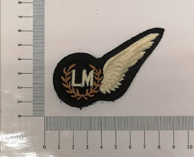 RAF Royal Air Force Airforce Parachute Air Force Para Aircraft Air Corps Patches Various Types