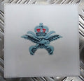 PTI Badge Embroidered RAF Royal Air Force Physical Training Instructor