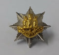 Vintage Royal ANGLIAN Regimental Genuine Badge British Army Issue Old Pattern
