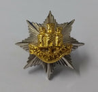 Vintage Royal ANGLIAN Regimental Genuine Badge British Army Issue Old Pattern
