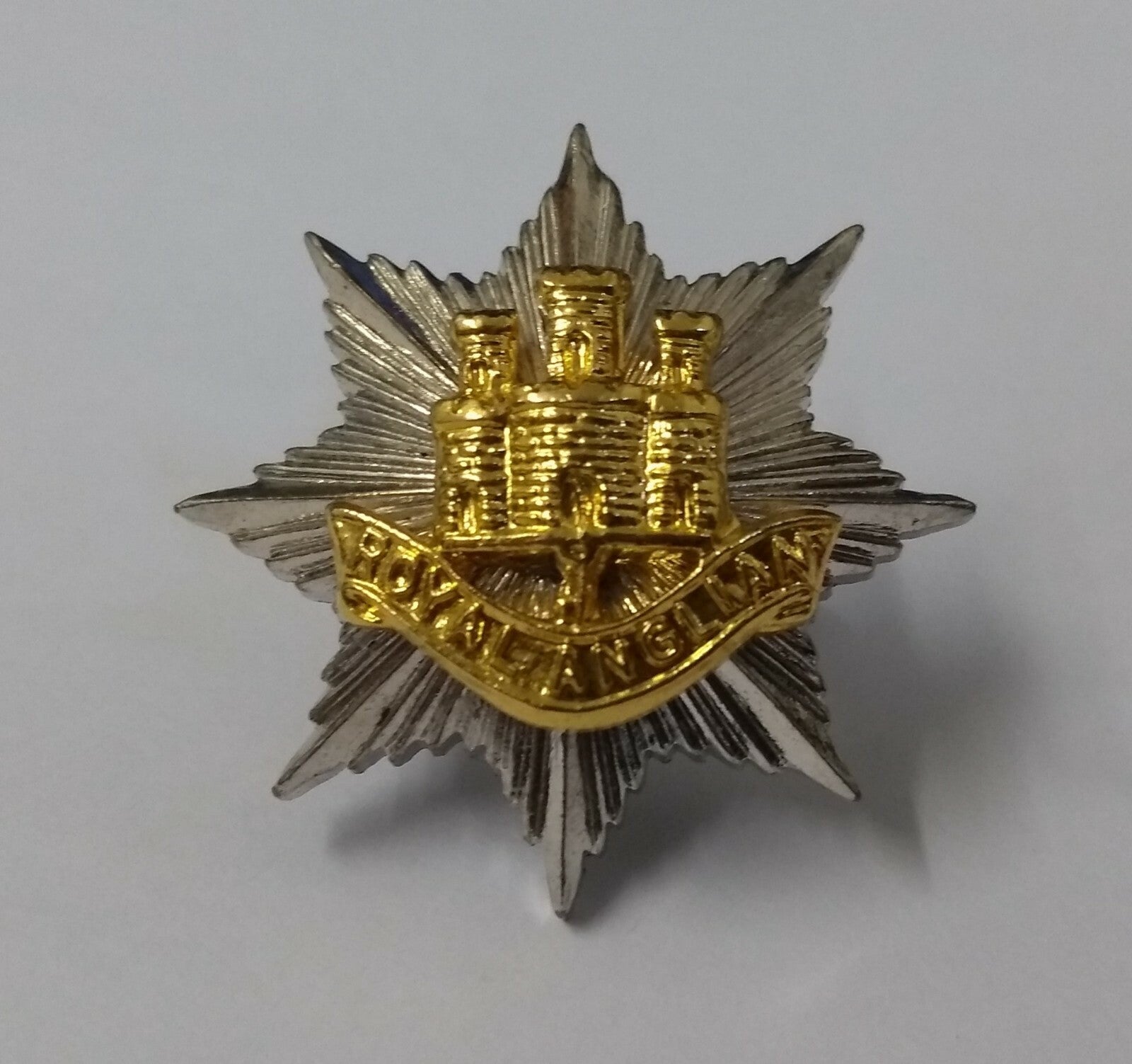 Vintage Royal ANGLIAN Regimental Genuine Badge British Army Issue Old Pattern