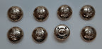 AGC ETS Buttons X8 Size 30L Dress British Army Educational & Training Services