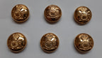 Royal Artillery Regimental Mounted Dress Button Set X6 British Army Insignia