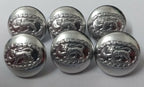 Genuine British Army Issue No1 / No2 Dress Royal Anglian Reg Silver Buttons 30L