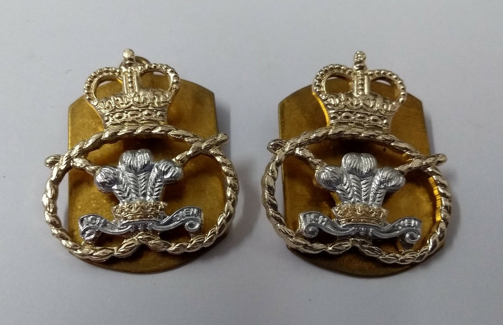 Staffordshire Regiment Collar Dogs 1 Pair