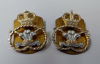 Staffordshire Regiment Collar Dogs 1 Pair