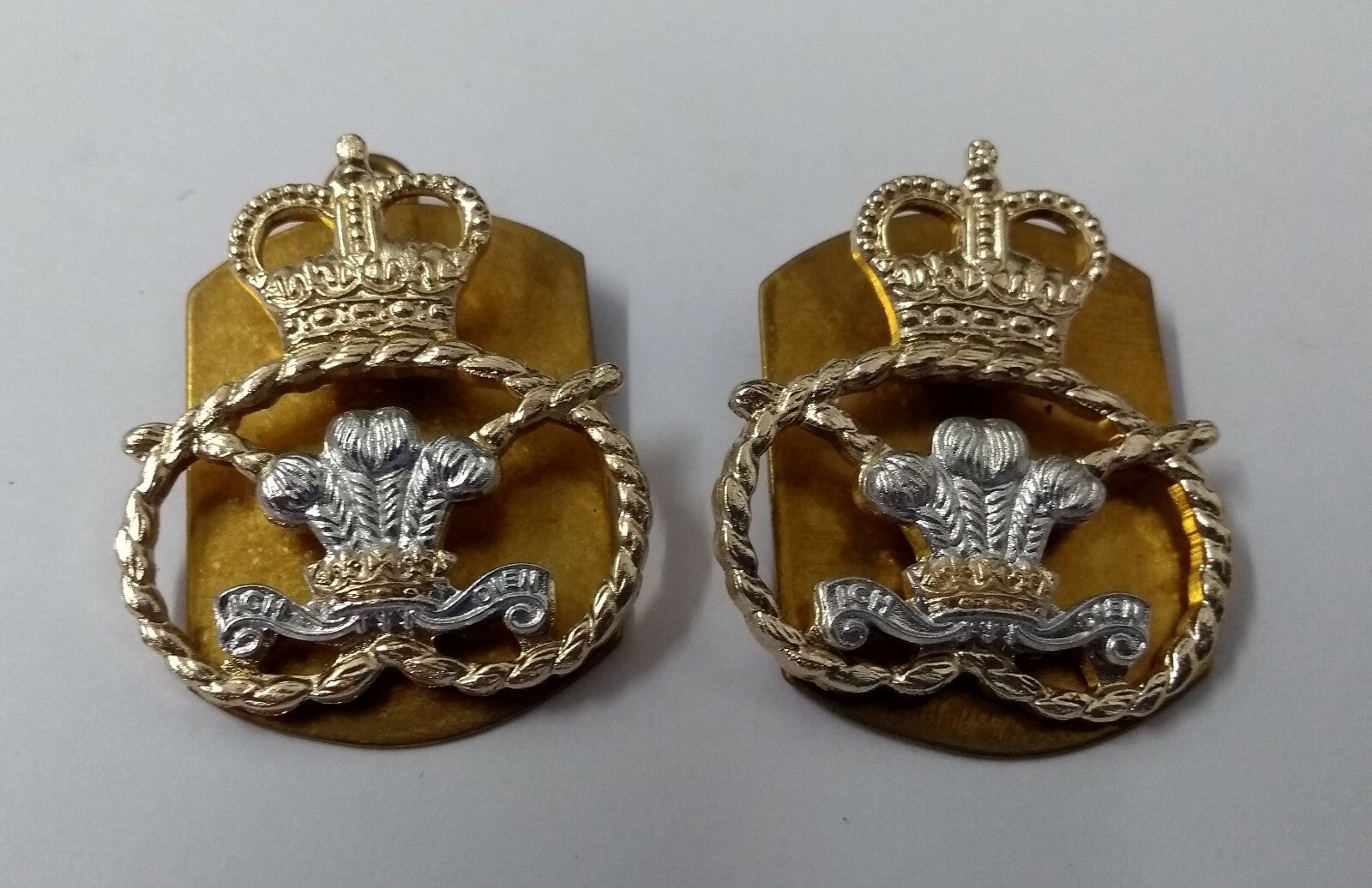 Staffordshire Regiment Collar Dogs 1 Pair
