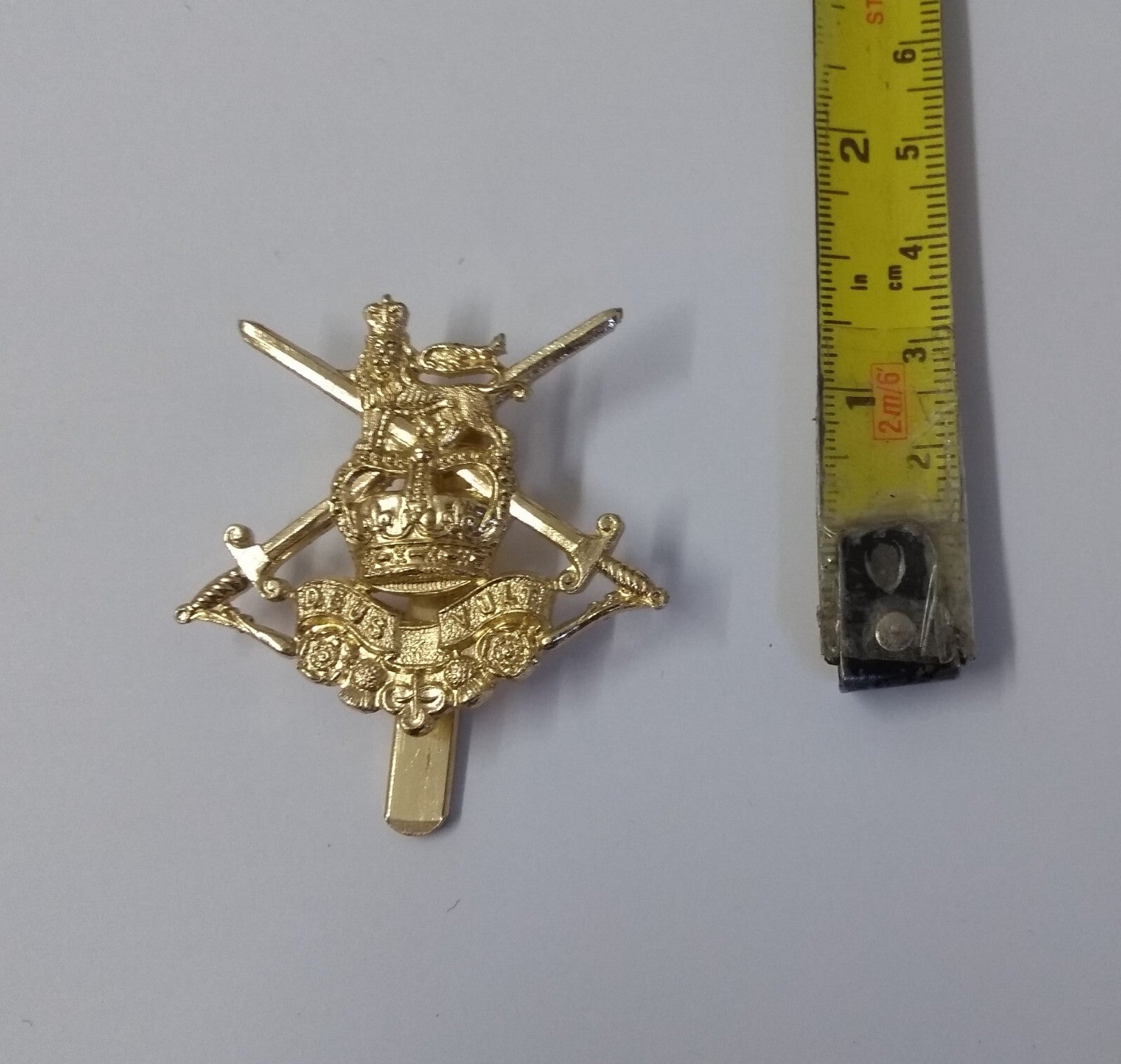 Infantry Junior Leaders & Army Apprentice Service Training Battalion Cap Badge