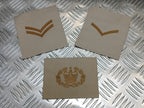 Rank Badges Army Green / Desert OD / DS Subdued Assorted Ranks 1 Pair New