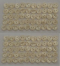 100 Vintage Buttons 2 Hole Shirt / Shank Anchors Pearlesque Cream 8.9mm NOS
