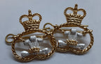 The Staffordshire Regiment Old Pattern Collar Dogs and Split Pins