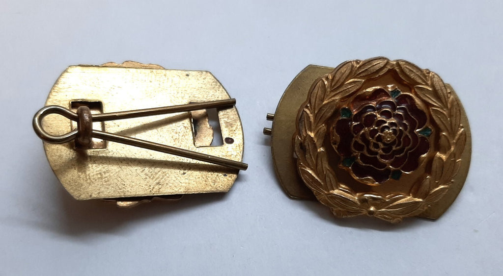 Vintage Royal Hampshire Regiment Officer's Gilt and Enamel Collar Badges X2