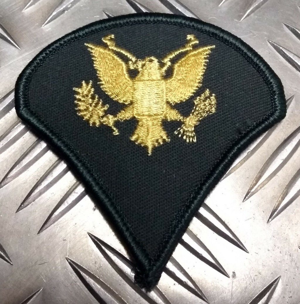 Genuine U.S ISS Specialist 4 Braided Eagle Patch Qualification