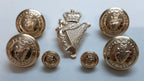 UDR Army Buttons & Badge British Ulster Defence Regiment Queens Crown Insignia