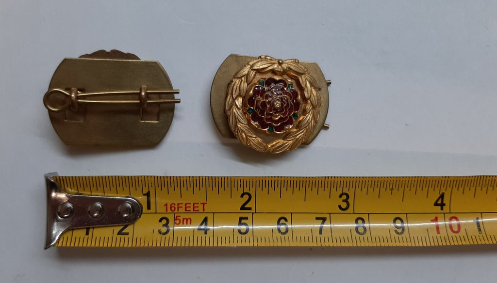 Vintage Royal Hampshire Regiment Officer's Gilt and Enamel Collar Badges X2