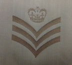 Rank Badges Army Green / Desert OD / DS Subdued Assorted Ranks 1 Pair New