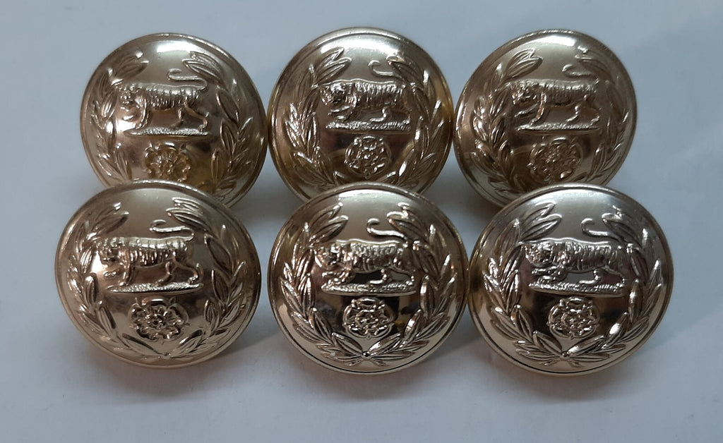 Royal Hampshire Buttons British Army Regimental Insignia Staybrite Size 40L X6