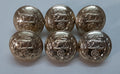 Royal Hampshire Buttons British Army Regimental Insignia Staybrite Size 40L X6